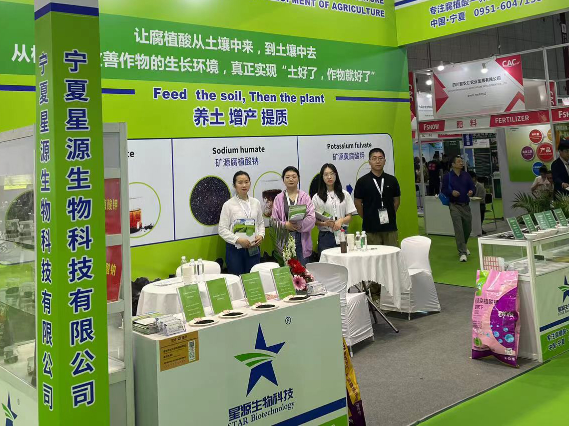 公司参展