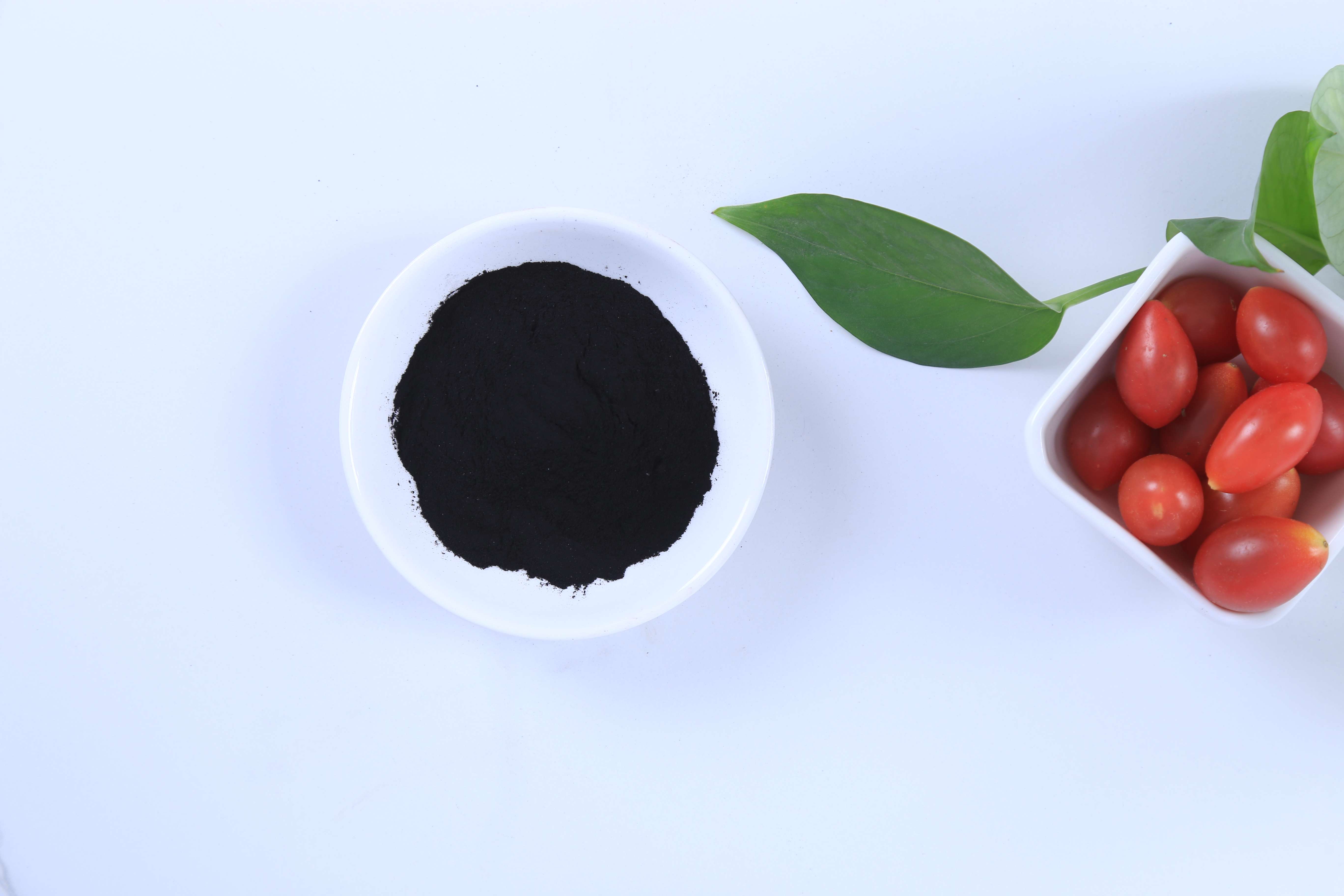 60% humic acid sodium humate powder