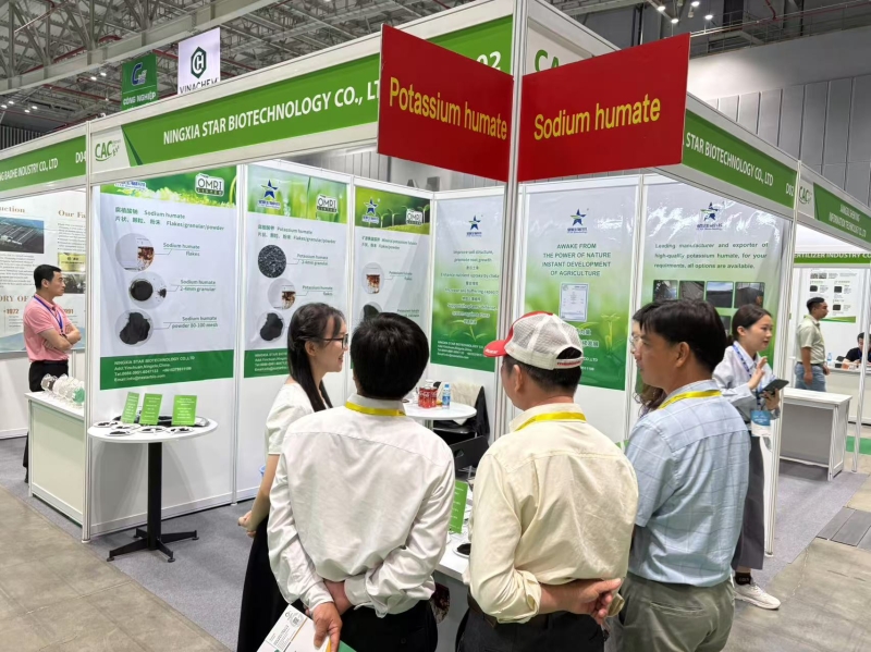 2024.11越南CAC (3)